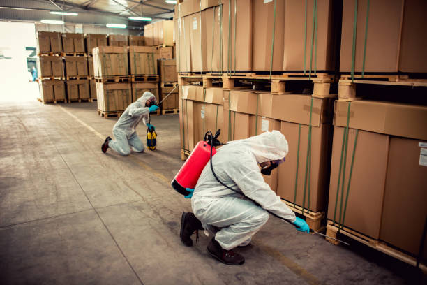 Best Pest Inspection Near Me  in Chantilly, VA