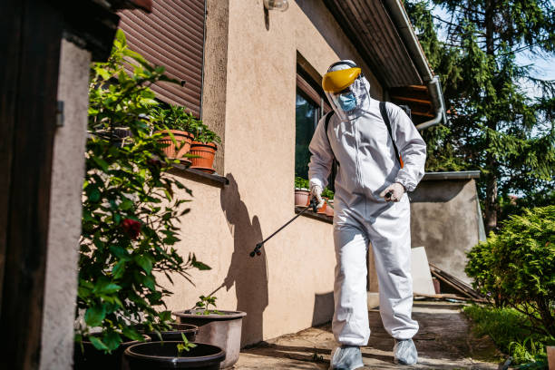 Best Spider Control Near Me  in Chantilly, VA