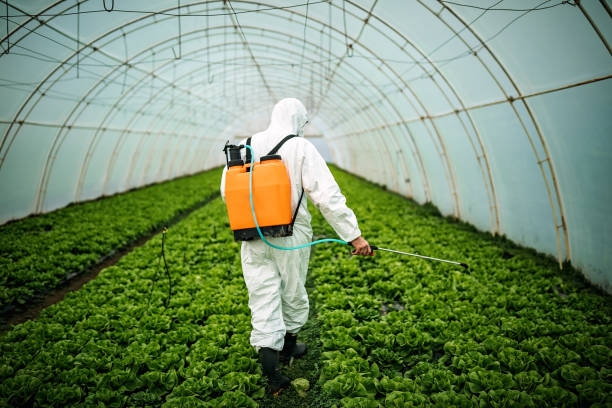 Best Pest Inspection Near Me  in Chantilly, VA