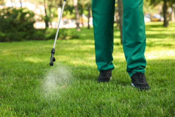 Best Exterminator Services  in Chantilly, VA