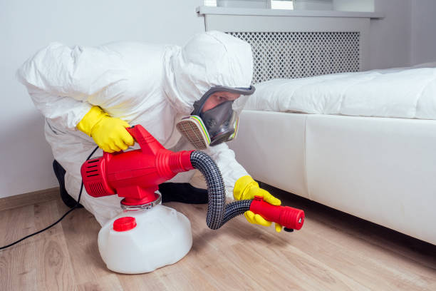 Best Ant Control Services  in Chantilly, VA