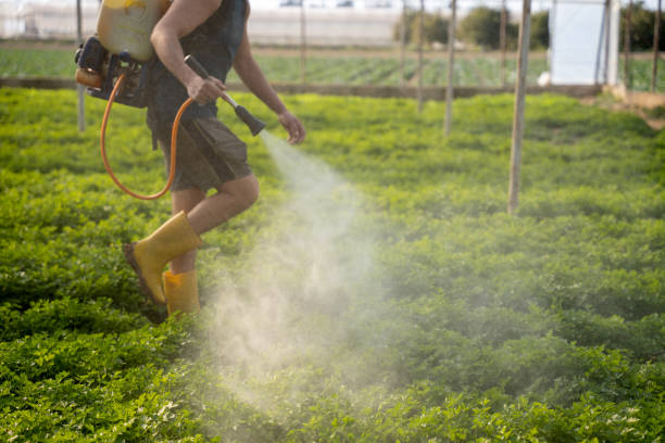 Best Mosquito Control Services  in Chantilly, VA