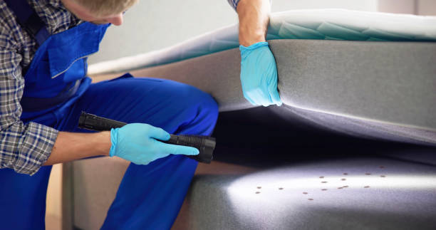 Pest Control for Restaurants in Chantilly, VA