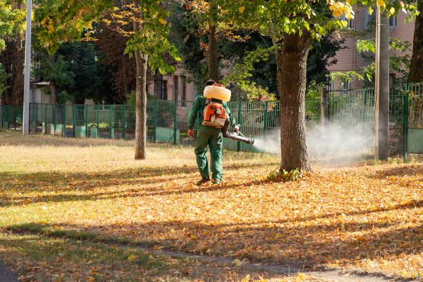 Best Exterminator Services  in Chantilly, VA