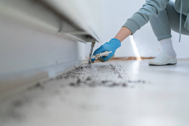 Best Bed Bug Extermination  in Chantilly, VA