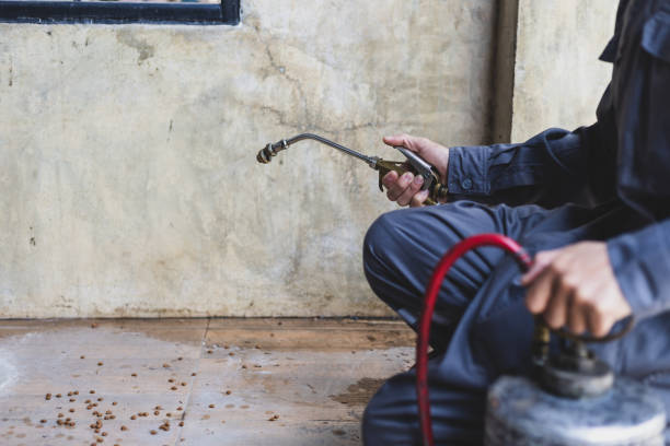 Best Best Pest Control Companies  in Chantilly, VA